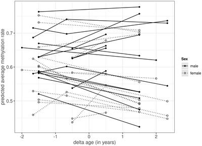 Sex-specific changes in autosomal methylation rate in ageing common terns